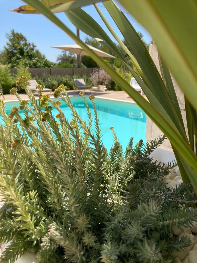 Il Marchese In Piscina Villa San Pietro in Bevagna Ngoại thất bức ảnh